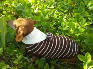 Brown Striped Hoodies for Dogs